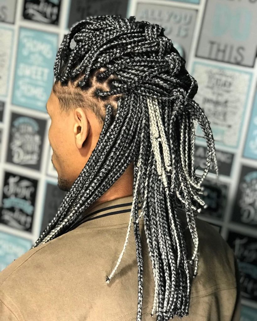Short Box Braid Hairstyles Male with Curly Hair
